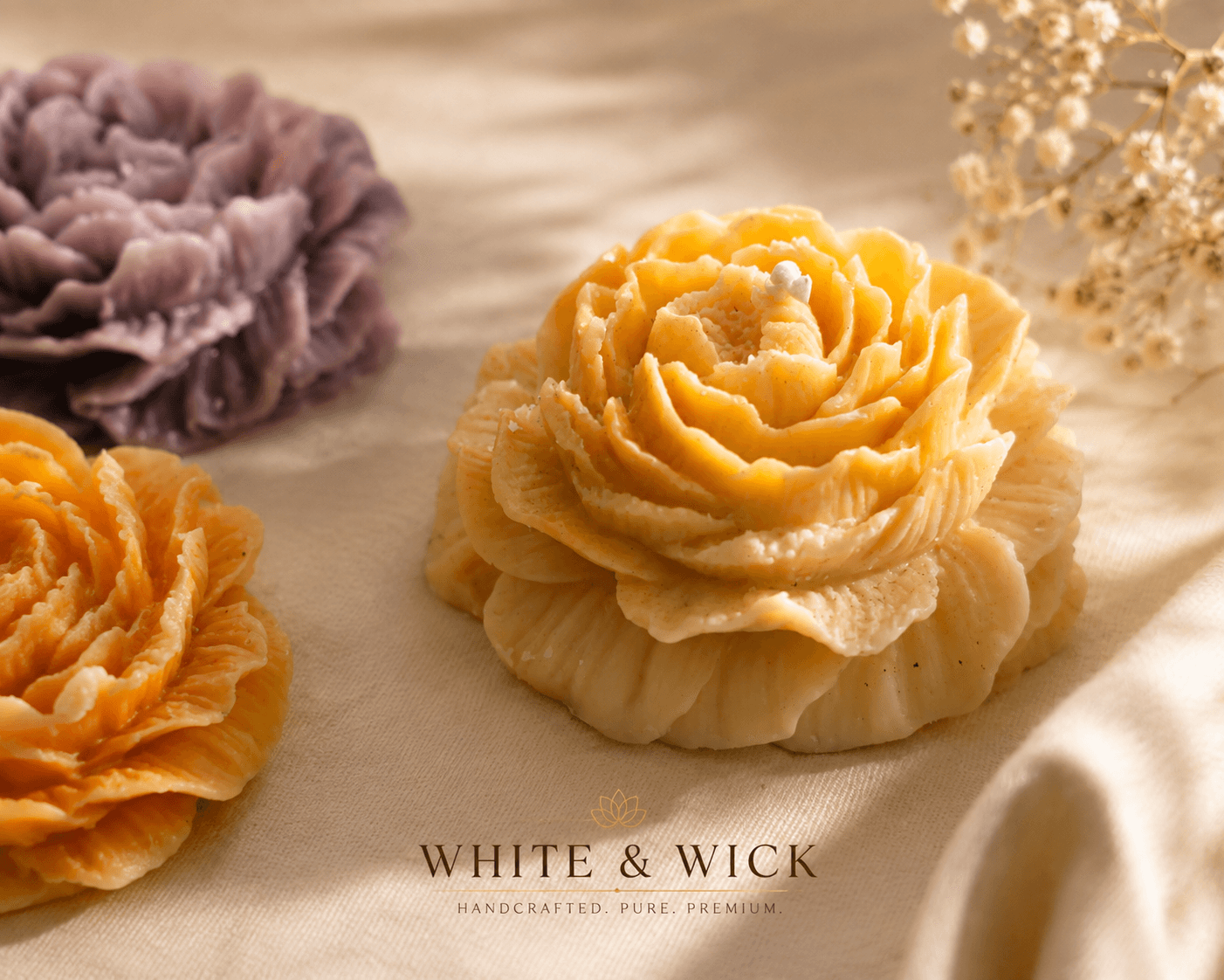 Golden Bloom Peony